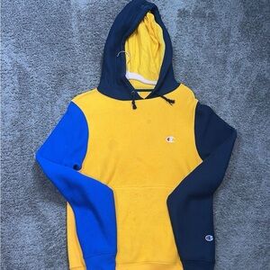 Champion multi hoodie